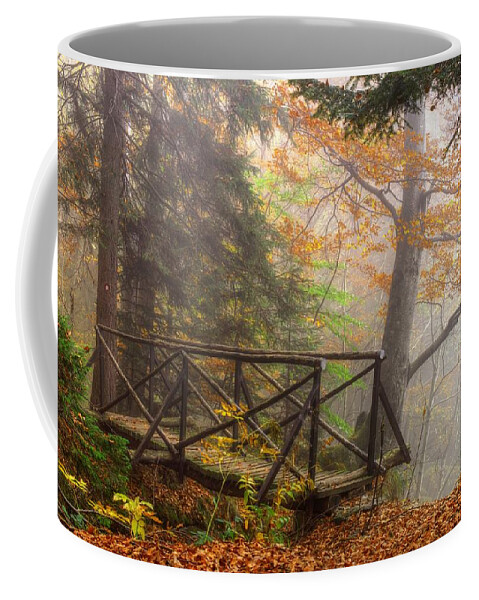 Autumn Coffee Mug featuring the photograph Misty forest by Ivan Slosar