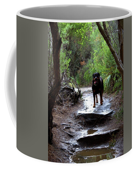 Misty Coffee Mug featuring the photograph Misty I Will Always Remember Your Smile by Miroslava Jurcik