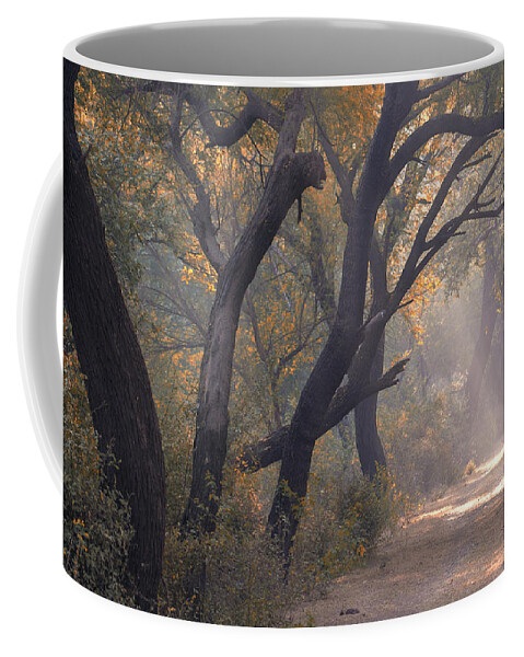 Mist Coffee Mug featuring the photograph Misty morning, Bharatpur, 2005 by Hitendra SINKAR