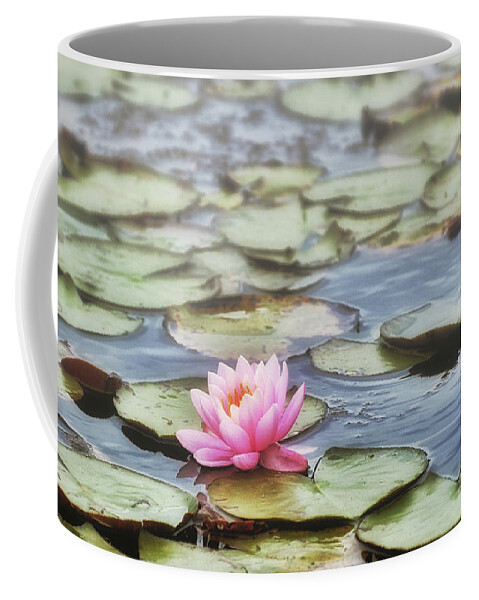 Lily Coffee Mug featuring the photograph Misty Morning Lily by Andrea Platt