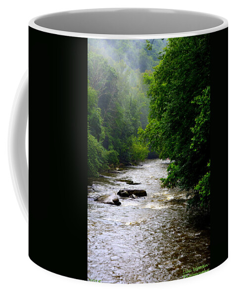 Mcconnells Mill State Park Pa Coffee Mug featuring the photograph Misty Morning by Lisa Wooten