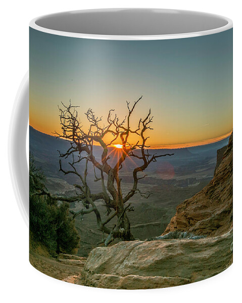 Tree Coffee Mug featuring the photograph Moab Tree by Kristal Kraft