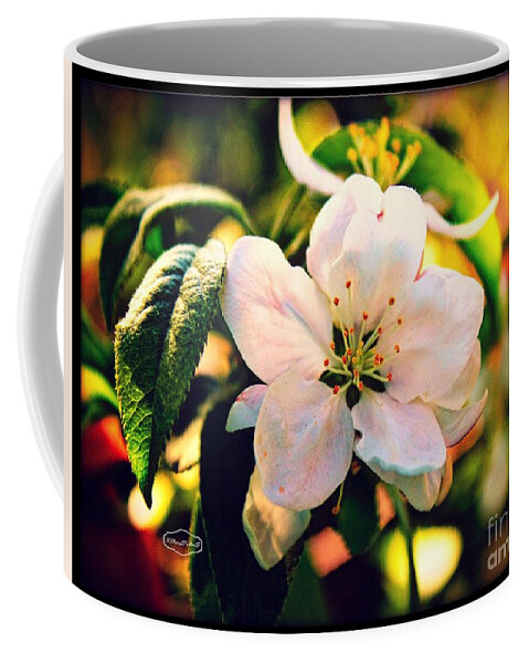Photograph Coffee Mug featuring the photograph Mock Orange Flower copyright Mary Lee Parker 17, by MaryLee Parker