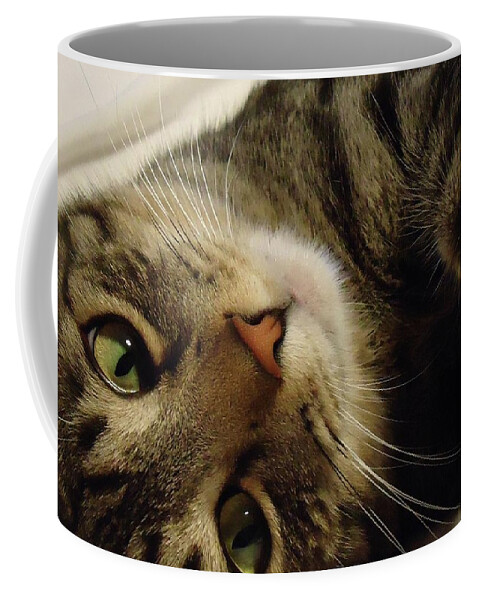 Cat Coffee Mug featuring the photograph Mom Likes Me Best by Leslie Manley
