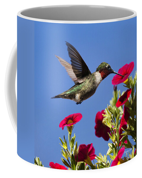 Birds Coffee Mug featuring the photograph Moment Of Joy Hummingbird Square by Christina Rollo