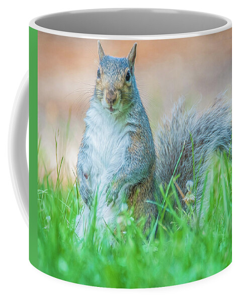 Mammal Coffee Mug featuring the photograph Momma Squirrel by Cathy Kovarik