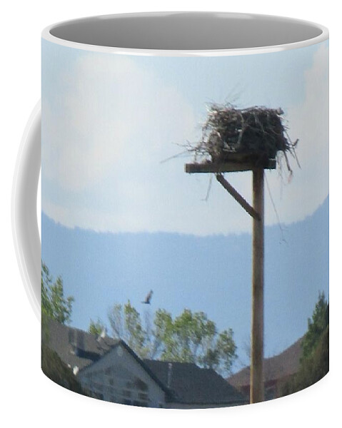  Coffee Mug featuring the photograph Mommy Circles Her Nest by Kelly Awad
