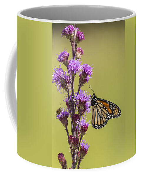 Wild Ones Coffee Mug featuring the photograph Monarch and Blazing Star 2014 by Thomas Young