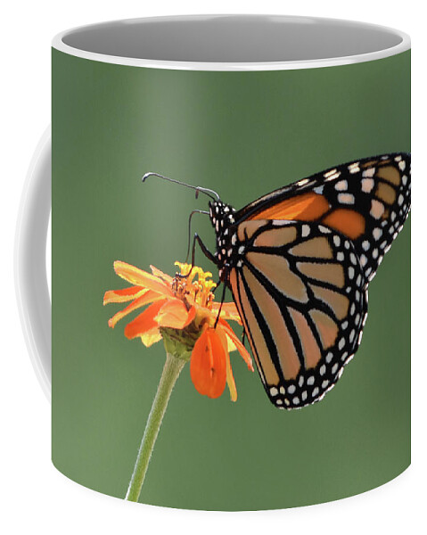 Monarch Coffee Mug featuring the photograph Monarch by Ben Foster