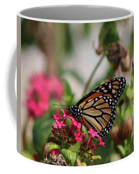 Monarch Butterfly Coffee Mug featuring the photograph Monarch Butterfly on Fuchsia by Colleen Cornelius