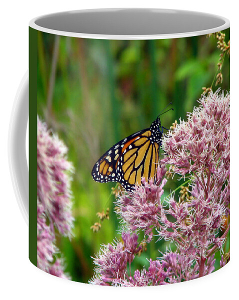 Butterfly Coffee Mug featuring the photograph Monarch Butterfly 2 by George Jones