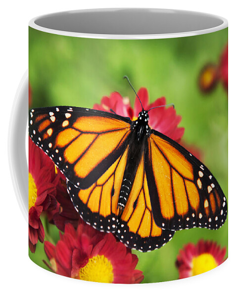 Monarch Butterfly Coffee Mug featuring the photograph Monarch Butterfly on Red Mums by Christina Rollo