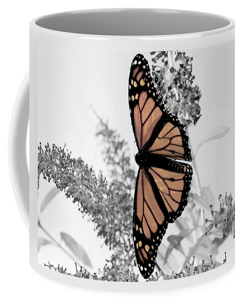 Lara Ellis Coffee Mug featuring the photograph Monarch Mug by Lara Ellis