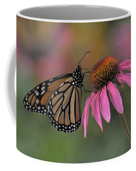 Monarch Coffee Mug featuring the photograph Monarch on Coneflower by Michael Hall