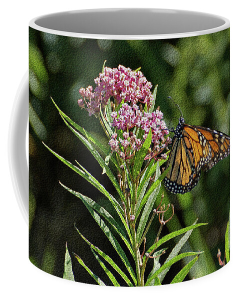 Butterfly Coffee Mug featuring the photograph Monarch on Milkweed by Sandy Keeton