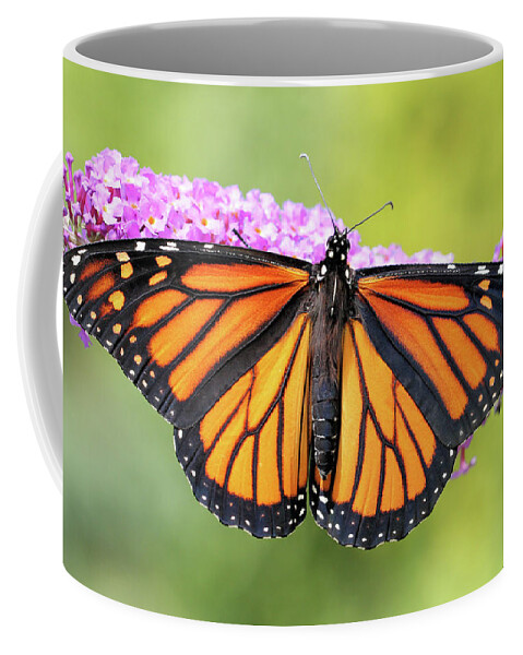 Monarch Butterfly Coffee Mug featuring the photograph Monarch Sunning by Doris Potter