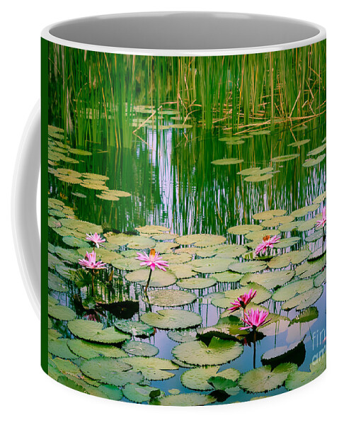 East Coast Coffee Mug featuring the photograph Monet's Waterlilies by Liesl Walsh