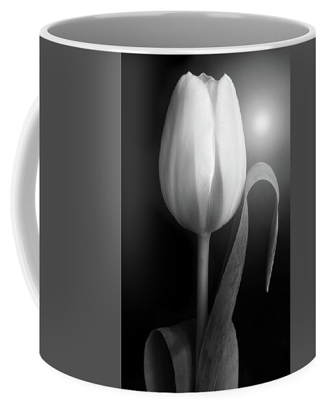 Tulips Coffee Mug featuring the photograph Monochrome Tulip portrait by Terence Davis