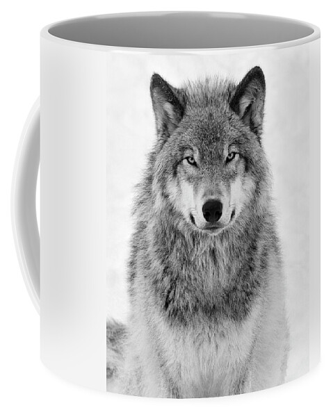 #faatoppicks Coffee Mug featuring the photograph Monotone Timber Wolf by Tony Beck