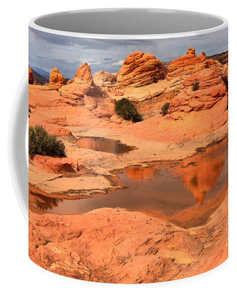 Coyote Buttes Coffee Mug featuring the photograph Monsoon Puddles by Adam Jewell