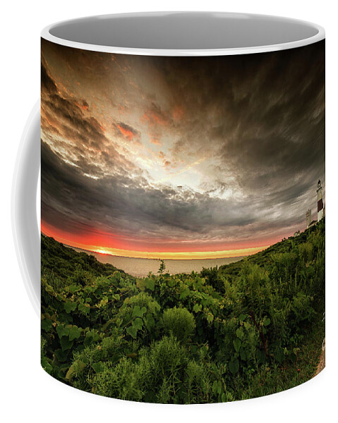 Stary Coffee Mug featuring the photograph Montauk Sunrise by Alissa Beth Photography