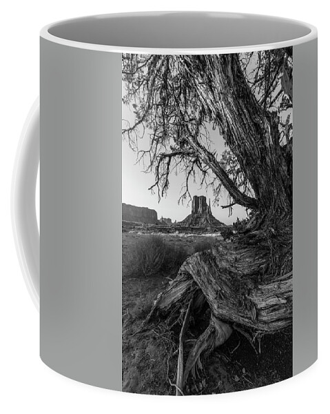 American Out West Coffee Mug featuring the photograph Monument Valley Looking through the Tree 2 by John McGraw
