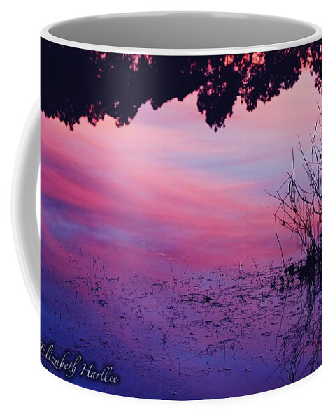  Coffee Mug featuring the photograph Mood Lake by Elizabeth Harllee