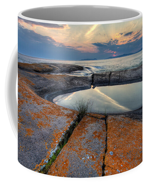 Water Coffee Mug featuring the photograph Moon Flower by Doug Gibbons