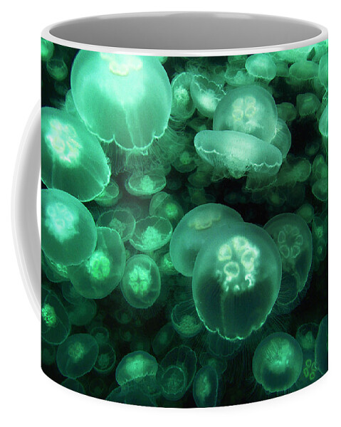 Mp Coffee Mug featuring the photograph Moon Jellyfish off Alaska by Hiroya Minakuchi