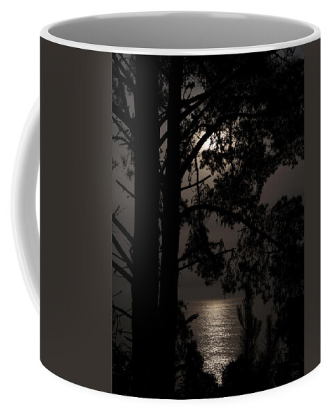 Moonlight Coffee Mug featuring the photograph Moonlight Over the Pacific by Derek Dean