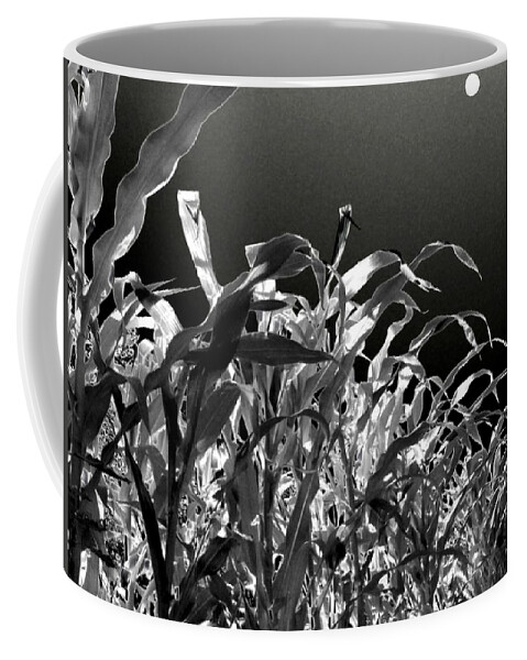 #moonlitcorn Coffee Mug featuring the photograph Moonlit Corn by Will Borden