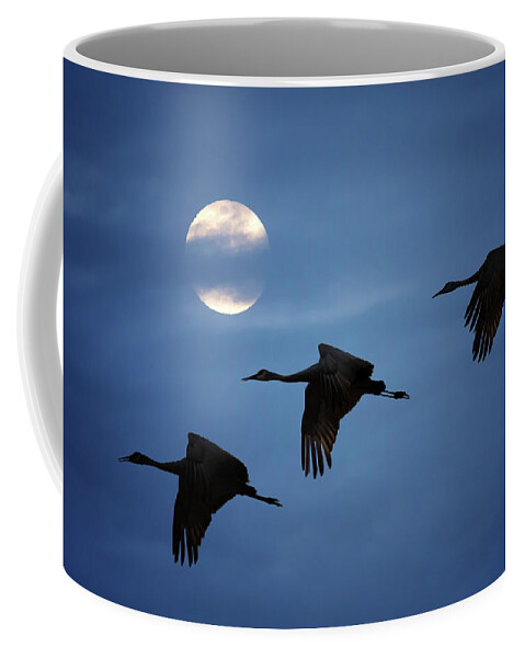 Sandhill Crane Coffee Mug featuring the photograph Moonlit Flight by Susan Rissi Tregoning