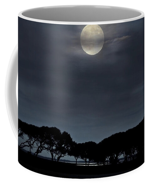 Sea Coffee Mug featuring the photograph Moonrise over the Marsh. by WAZgriffin Digital