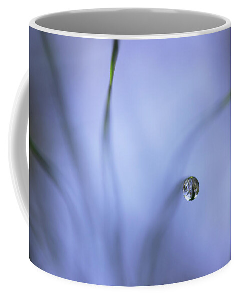 Pine Needles Coffee Mug featuring the photograph Morning Among The Pine by Mike Eingle