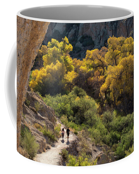 Autumn Coffee Mug featuring the photograph Autumn Stroll by Sue Cullumber
