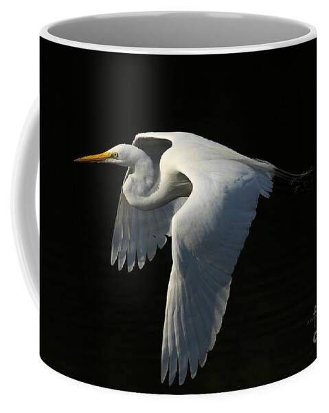 Giant Egret Coffee Mug featuring the photograph Morning Beauty by Deborah Benoit