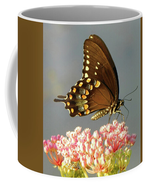 Morning Beauty Coffee Mug featuring the photograph Morning Beauty by Emmy Marie Vickers