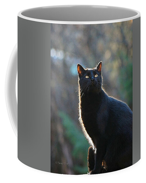 Black Cat Coffee Mug featuring the photograph Morning Bird Watch by Tracey Vivar