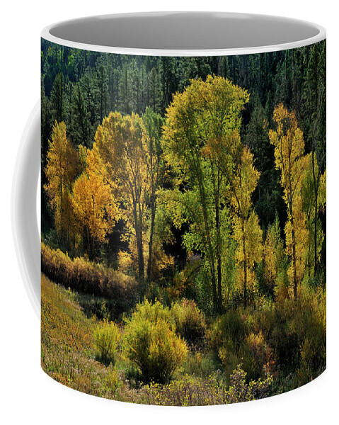 Landscape Coffee Mug featuring the photograph Morning Cottonwoods by Ron Cline