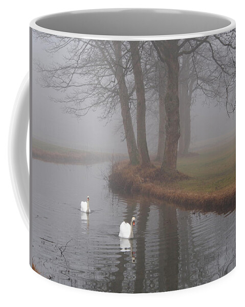 Swan Coffee Mug featuring the photograph Morning Cruise by Jessica Myscofski