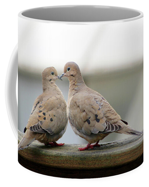 Morning Doves Coffee Mug featuring the photograph Morning Doves in Love by Deb Schense