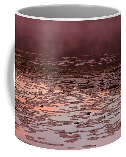 Bonnie Follett Coffee Mug featuring the photograph Morning Fog in the Lily Patch in Mauve by Bonnie Follett