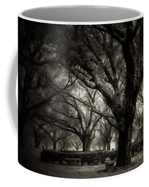  Coffee Mug featuring the photograph Morning Fog by Stoney Lawrentz