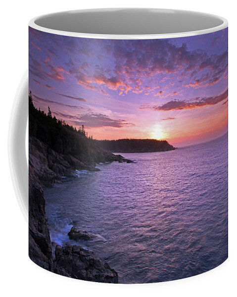 Acadia National Park Coffee Mug featuring the photograph Morning Glory by Juergen Roth