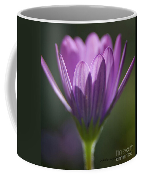 Purple Flower Coffee Mug featuring the photograph Morning Glory by Vicki Ferrari