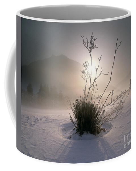 Nag927997 Coffee Mug featuring the photograph Morning Has Broken by Edmund Nagele FRPS