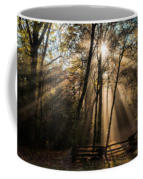 Light Coffee Mug featuring the photograph Morning Light by Lynne Jenkins