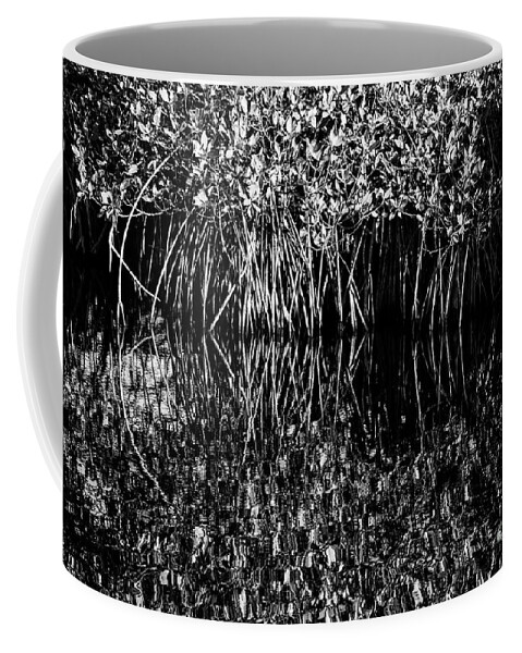 The Everglades Coffee Mug featuring the photograph Morning Light Mangrove Reflection 2 by Bob Phillips