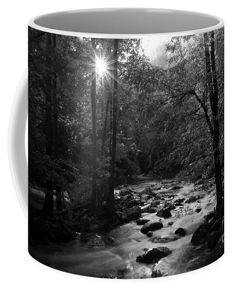 River Coffee Mug featuring the photograph Morning Light On The Stream by Mike Eingle