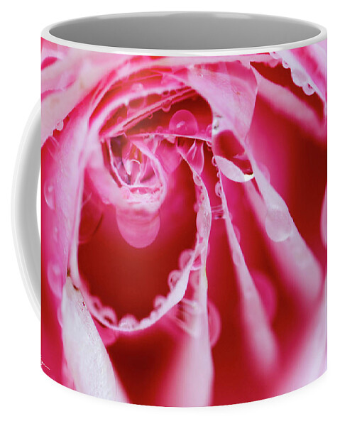 Rose Coffee Mug featuring the photograph Morning Mist by Mary Anne Delgado